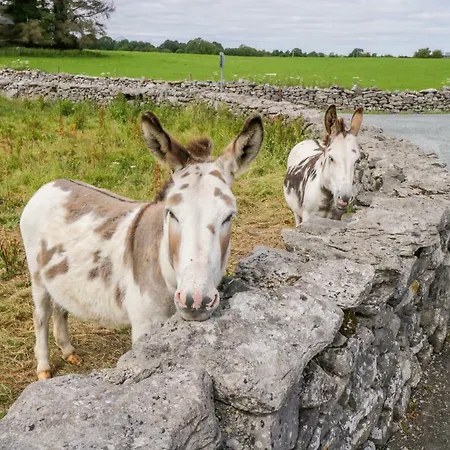 Holiday home Cherry Tree *