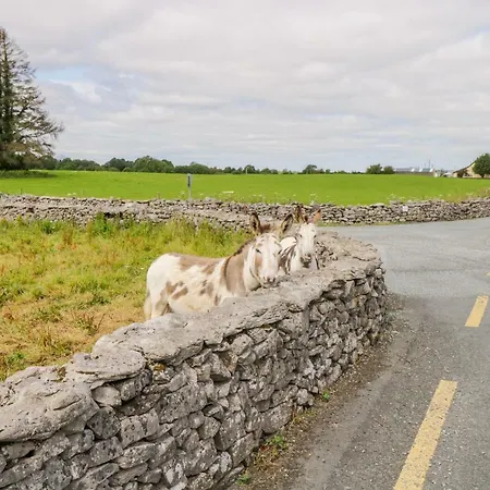 بيت للعطل Cherry Tree