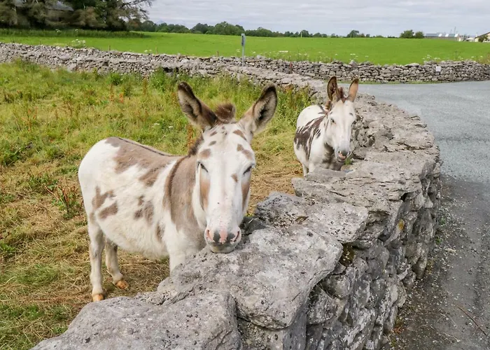 Hébergement de vacances Cherry Tree *