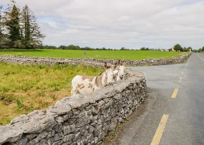 בית נופש Cherry Tree